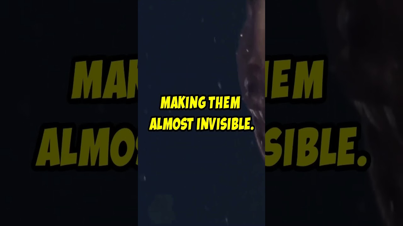 The Mysterious Deep-Sea Anglerfish