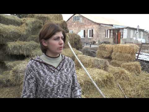 ეთნიკური უმცირესობები და არჩევნები / Ethnic minorities \u0026 Elections