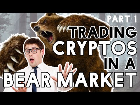 Surviving a Bear Market!  – Crypto Trading Strategies Part 1