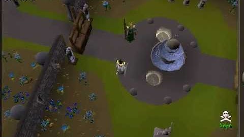 runescape 317 private server, 24/7 - over 100 custom items! ip is greenpapapksccape.no-ip.biz