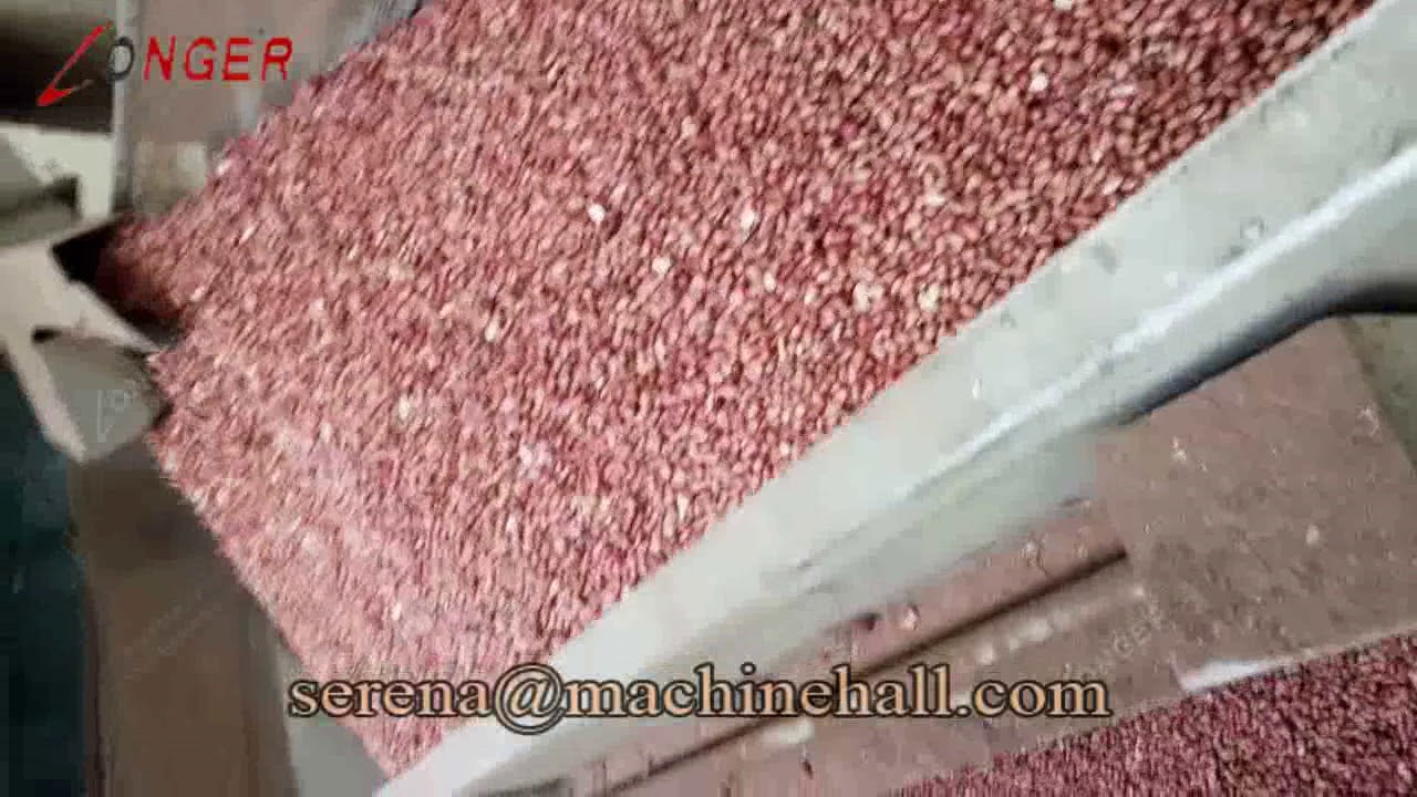 Electric Peanut/ Soybean/ Cocoa Bean Roasting Machine Manufacturer ...