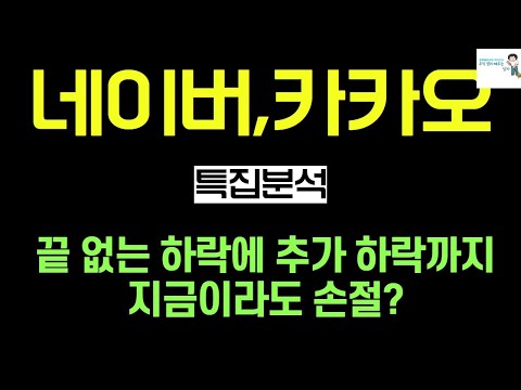   네이버 카카오 전망 계속되는 하락에 신저가 여기서라도 손절해야 할까 네이버 네이버주가 카카오 카카오주가