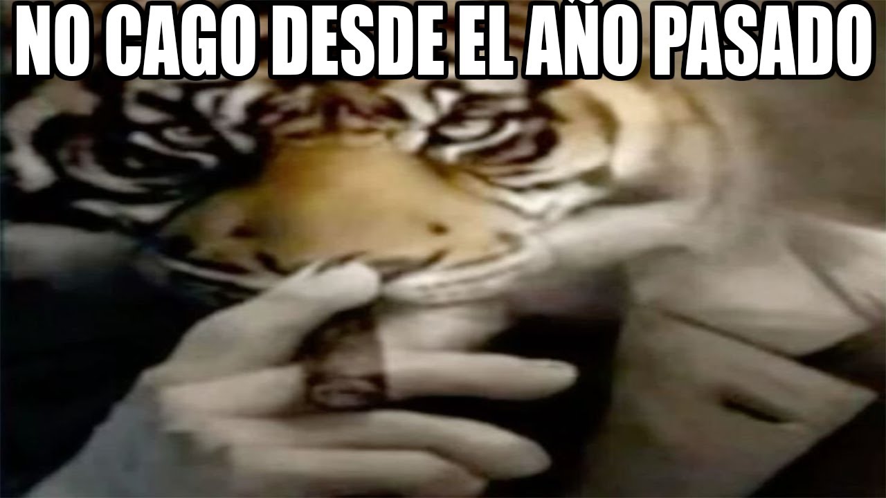 Shitposting Compilation V37(ESPECIAL 1 HORA DE MEMES)