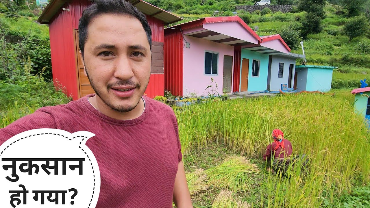 घर के पास वाले खेत में सूअर आ गया || Pahadi Lifestyle Vlog || Cool Pahadi 