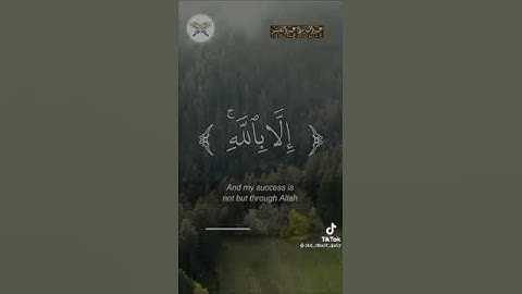 وَمَا تَوْفِيقِي إِلَّا بِاللَّهِ ۚ عَلَيْهِ تَوَكَّلْتُ وَإِلَيْهِ أُنِيبُ}[هود الآية:88]،