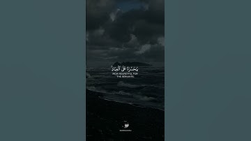 {يَٰحَسۡرَةً عَلَى ٱلۡعِبَادِۚ مَا يَأۡتِيهِم مِّن رَّسُولٍ إِلَّا كَانُواْ بِهِ} القارئ شريف مصطفى