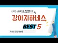 강아지하네스 필수 구매 추천 TOP5