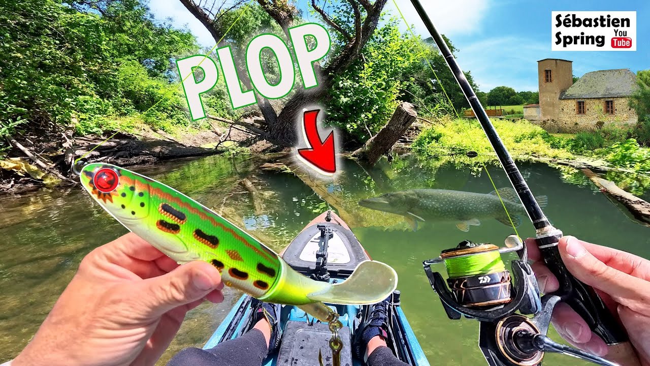 Le WHOPPER PLOPPER est vraiment un AIMANT à brochets !!!