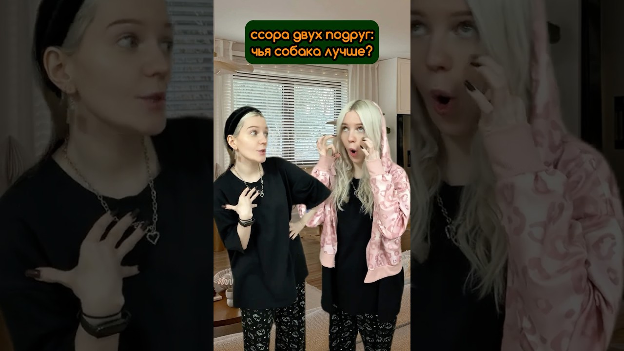 Подруги поссорились из-за собак! Корги-Пухляш на вб, арт: 158320743 