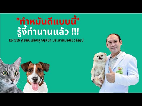 วีดีโอ: ทำหมันแทนการทำหมัน? (สำหรับสุนัขของคุณ)