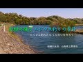 ニジマスが爆釣！ 薫製を作ろう River-fishing