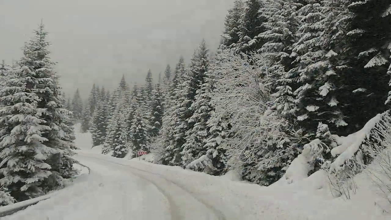 Freeride camp in Svaneti / Extreme Georgia