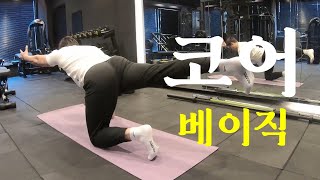 데드벅, 사이드 플랭크, 버드독, 코어운동의 기초. 항신전, 항회전, 항측굴 운동전략(ft. 펑셔널 트레이닝)