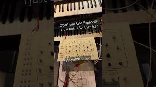 DIY synth SEM Expander #modularsynth ! Work in progress, front panel getting there! #diysynth #synth