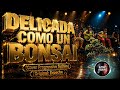 ErPeche - Delicada como un Bonsái (Techno Remix) | Fusión &amp; Energía 2026