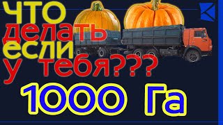 Что делать, если у тебя 1000 Га тыквы? I Приемка и мойка тыквенной семечки на оборудовании АО "КЭМЗ"