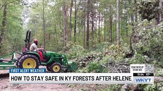 How To Stay Safe In Kentucky Forests After Hurricane Helene