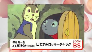 未使用 ❤️山ねずみ ロッキーチャック　ロッキー　携帯ストラップ 4571317710105.jpg