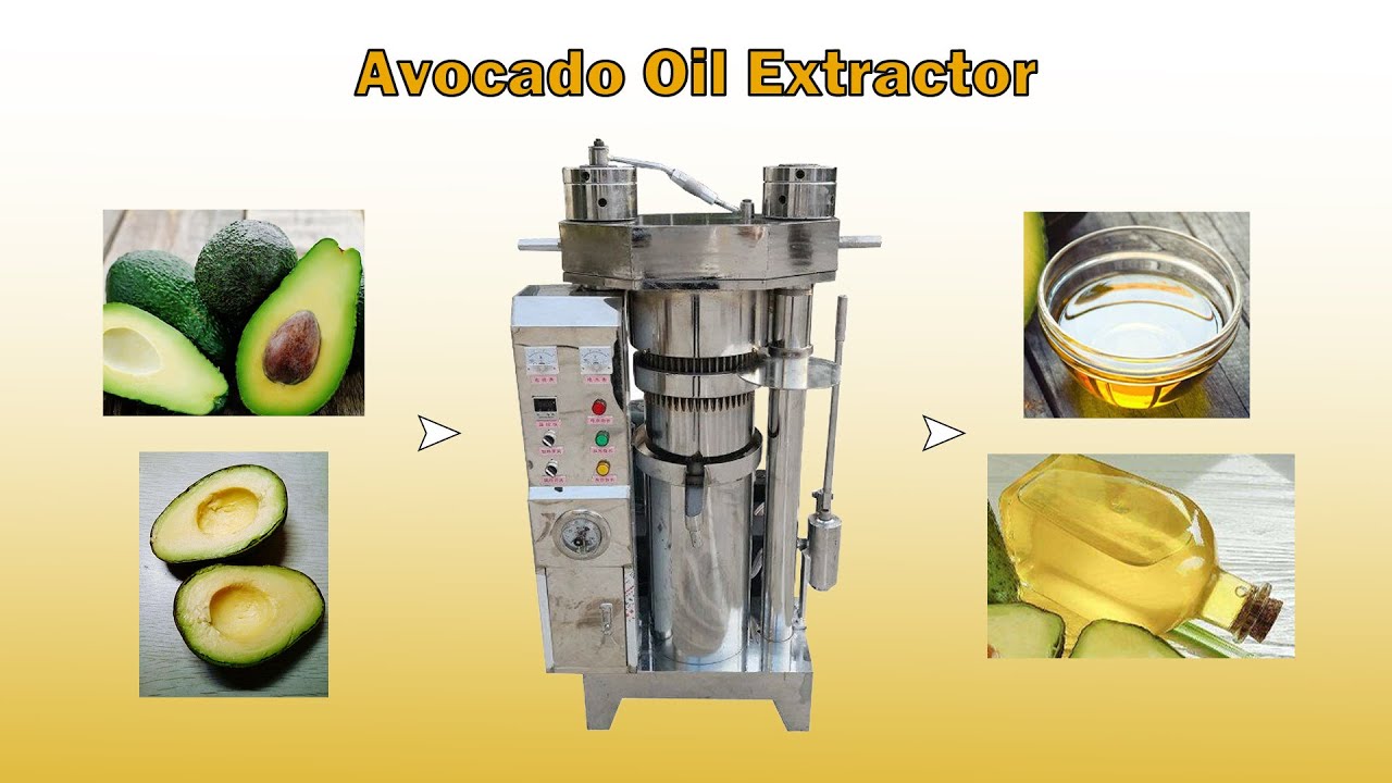 Super-pure small avocado oil extractor machine