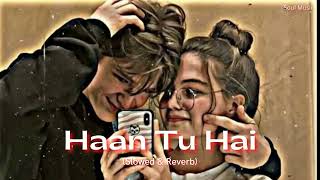 Haan Tu Hain [Slowed+Reverb] - KK ,Pritam | Jannat | Alone Junkbox  | Textaudio | Music Lovers