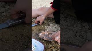 Beautiful woman opens river clams and gets pearls