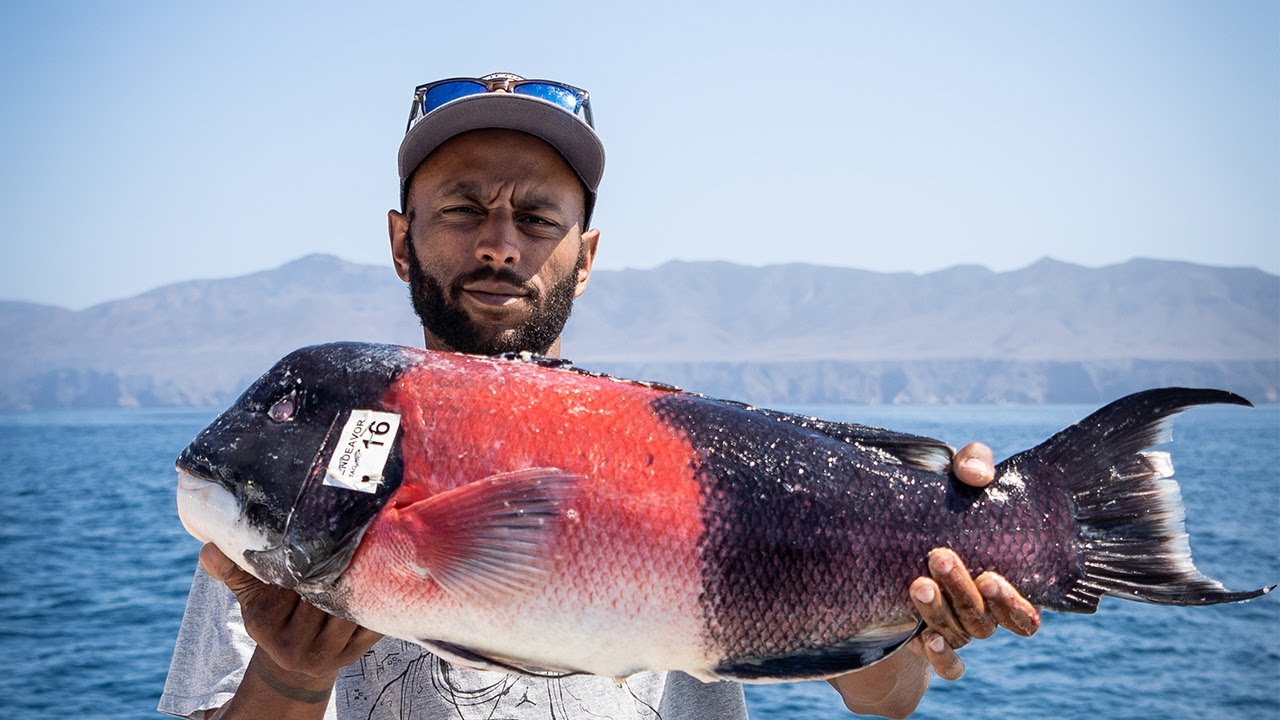 Two Day Deep Sea Fishing - Endeavor Ventura Harbor 