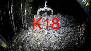 Kaatunut koivupino. K18 sisältää voimakasta KIROILUA. Fallen birch pile.