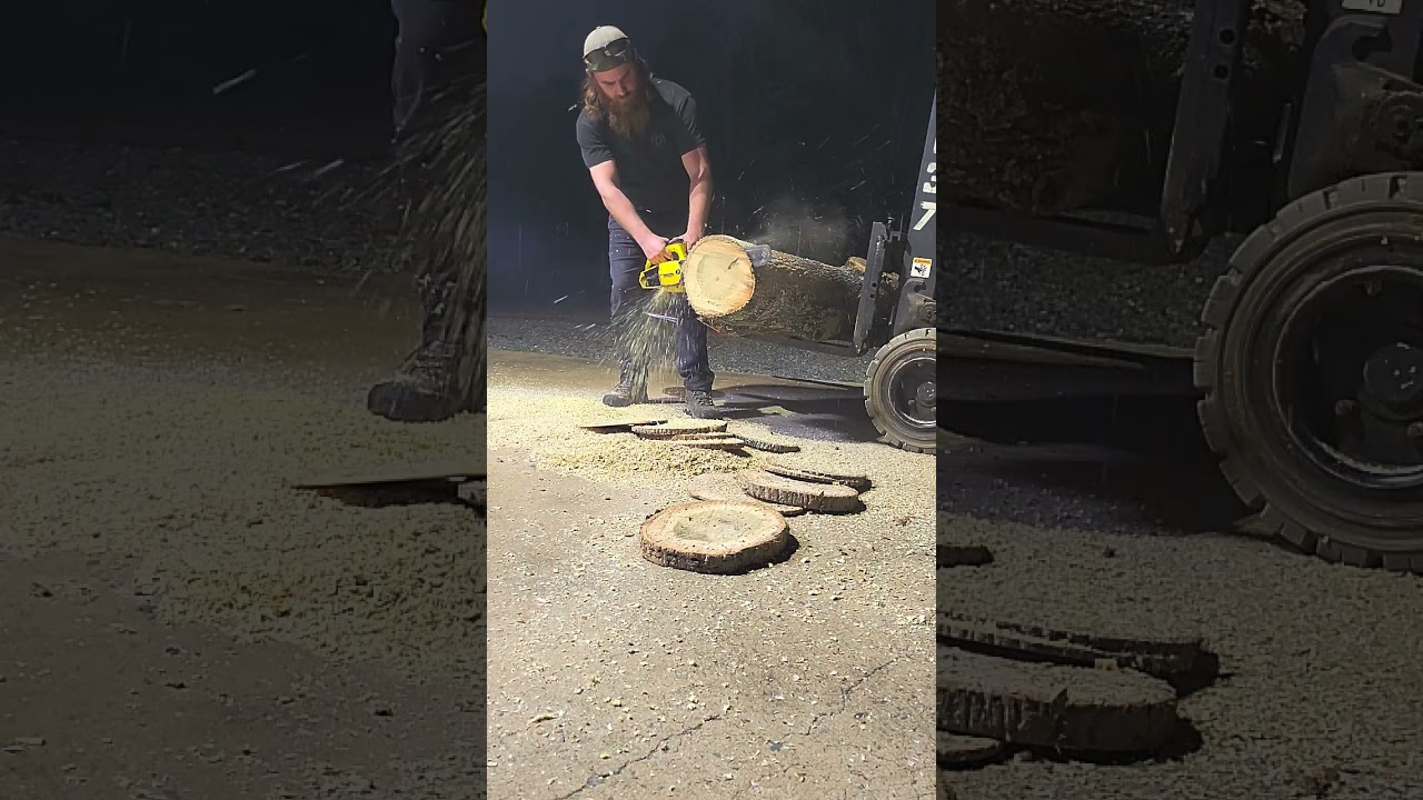 1968 Mcculloch Power Mac 6. 32.8cc. World's lightest chainsaw at one point.