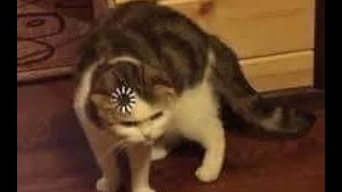 Call of duty hitboxes in a nutshell