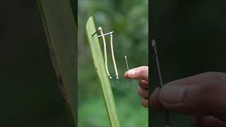 Creative Nail irone and Dateplam slingshots #Diy #Slingsh...