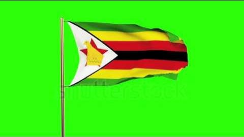 Zimbabwe flag waving in the wind. Green screen, alpha matte. Loopable animation Stock video by