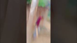 lens blur effect video editingslow motion video editing