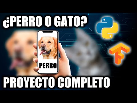 Crea un clasificador de perros y gatos con IA, Python y Tensorflow - Proyecto completo