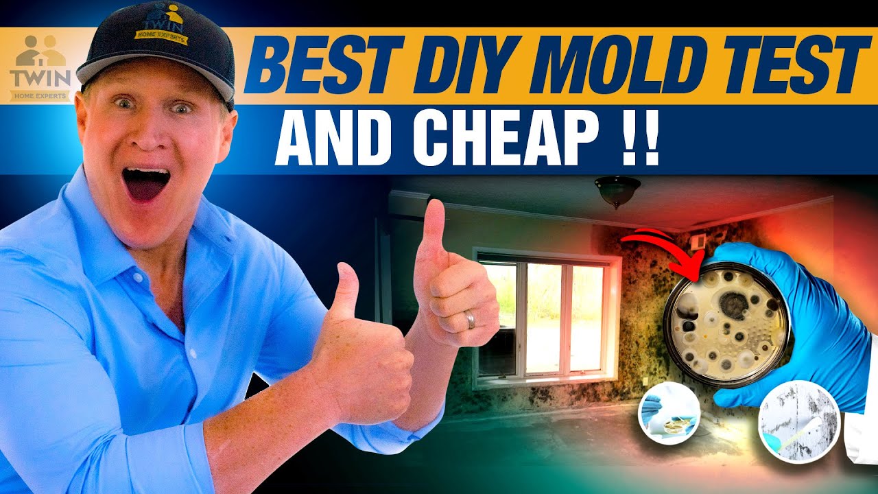 DIY Mold Test Kit: GOT MOLD? Inexpensive and Fast Home Diagnostic