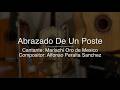 Abrazado de un Poste - Puro Mariachi Karaoke - Mariachi Oro de Mexico