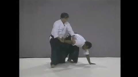 Aikido Yamada sensei basics