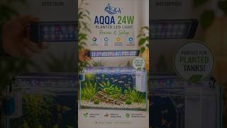 AQQA 24W LED Light – Good for Planted Tanks? #aquarium #light #tropicalfish #fish #trending #india