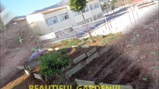 SCHOOL GARDEN COMPOST