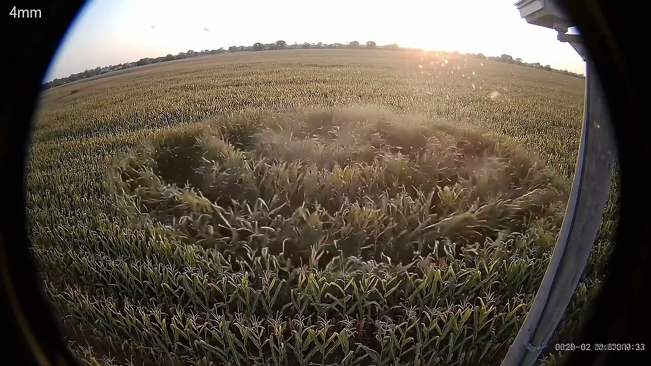 Crop circle caught on ring camera 