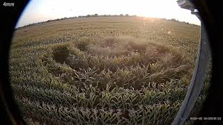 Crop circle caught on ring camera #ufo #uap #cropcircles #mystery #ringcamera #crazy #EMP #alien 