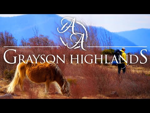 grayson-highlands-4k-|-hiking-with-wild-ponies-on-the-appalachian-trail