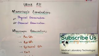 How to Make  complete Urine R/E report.an easy lecture in Hindi and Urdu.