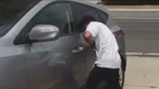 TikTok 'trend' challenges people to steal cars screenshot 5