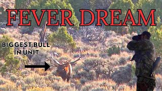 FEVER DREAM - A Public Land Archery Elk Hunt in Wyoming (Limited Quota)