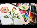 Live: Watercolor Ranunculus Tutorial With Pen & Ink