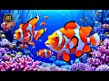The Best 4K Aquarium - Explore the Stunning World of Sea Jellyfish and Beautiful Coral Reef Fish. #8