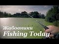 Щука запрессованных водоемов (4 жабовника) - Fishing Today