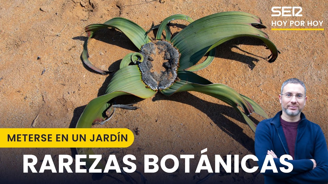 Rarezas botánicas y coleccionistas de plantas | Meterse en un jardín, Eduardo Barba