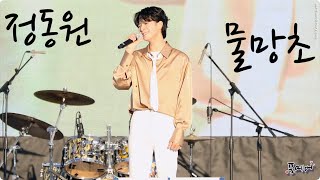 221008 정동원-물망초 [논산 시민의 날 축하음악회] 4K fancam by 포에버