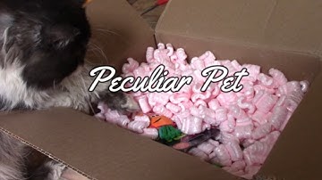 Peculiar Pet (Cat Box Unboxing ) April 2022 😻